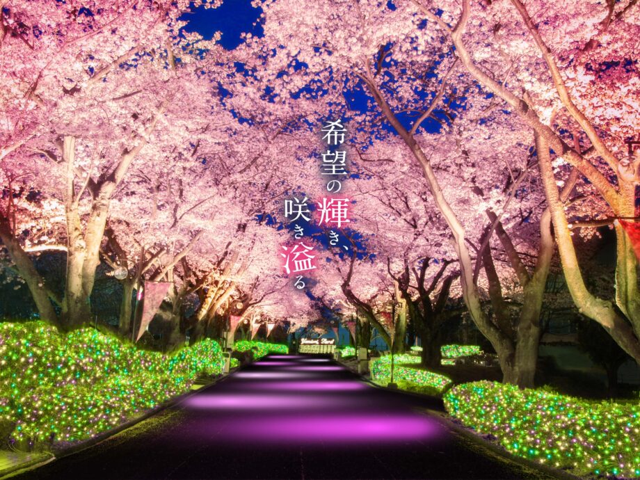 アトラクションで一風変わったお花見「夜桜ジュエルミネーション」3月19日から　＠よみうりランド