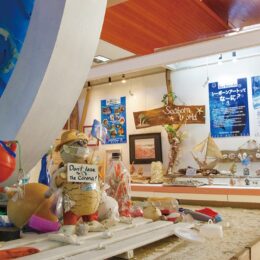 「アートで楽しく海岸美化」ゴミからアート作品に　横須賀観音崎自然博物館で展示開設3/19（土）から