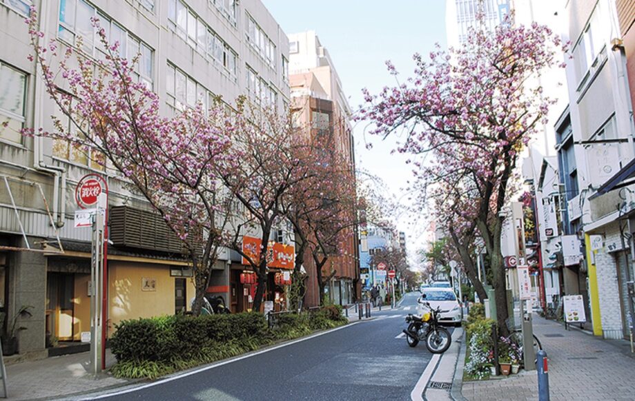 「関内フード＆ハイカラフェスタ」関内の花見シーズン到来！八重桜が見頃に＠横浜市関内
