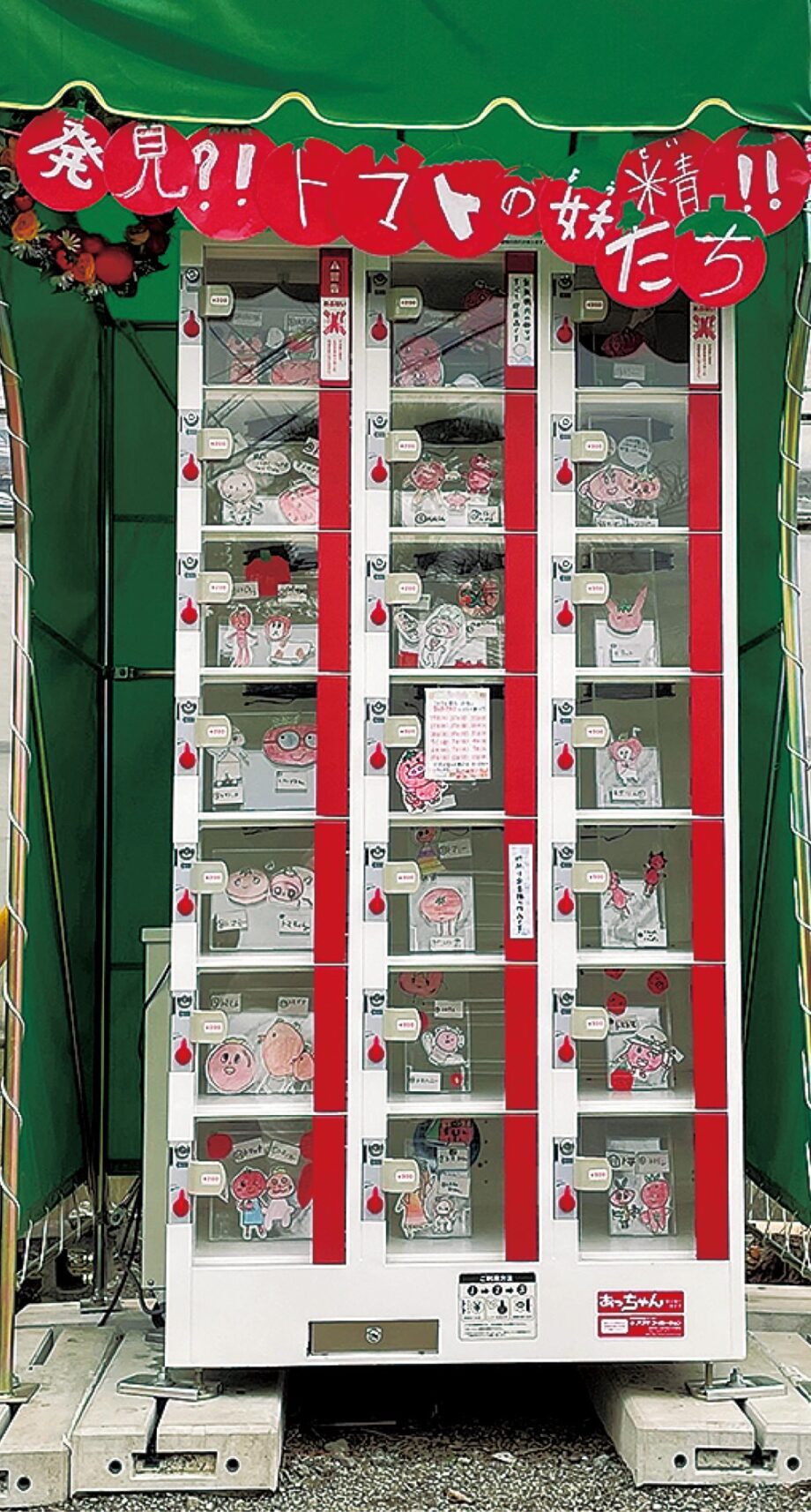 茅ヶ崎市立鶴嶺小学校の児童が農園に｢恩返し｣！自販機をトマトの妖精で装飾
