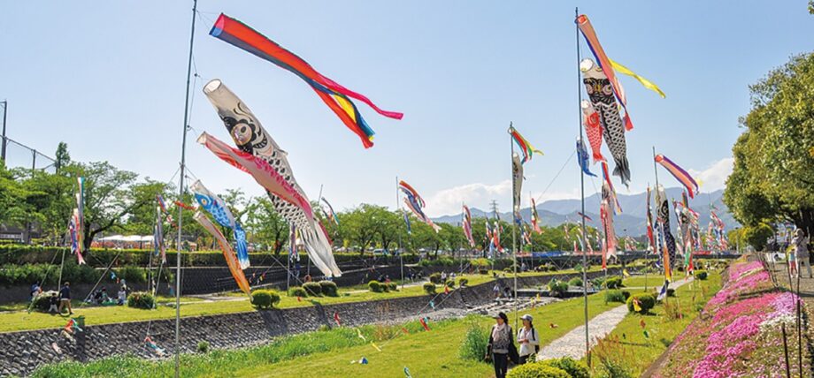 秦野市「みずなし川緑地」で青空泳ぐこいのぼり200匹！！2020年５月５日まで