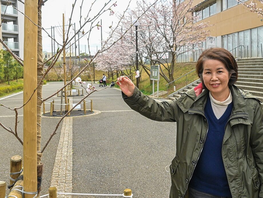 ＜はるひ野町内会＞ 遊歩道の｢桜｣植え替え 小学生向けイベントも視野【2022年4月8日号】