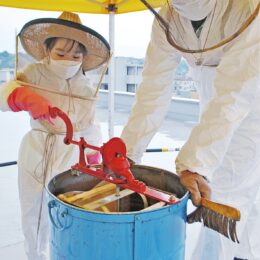 横浜市保土ヶ谷区の社屋ビル屋上が養蜂場「純度１００％和田産蜂蜜」2022年初の採蜜作業　