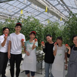 ハウス内環境を自動制御する、茅ヶ崎市中島の｢未来型トマト農場｣を訪れました！トマトの直売も