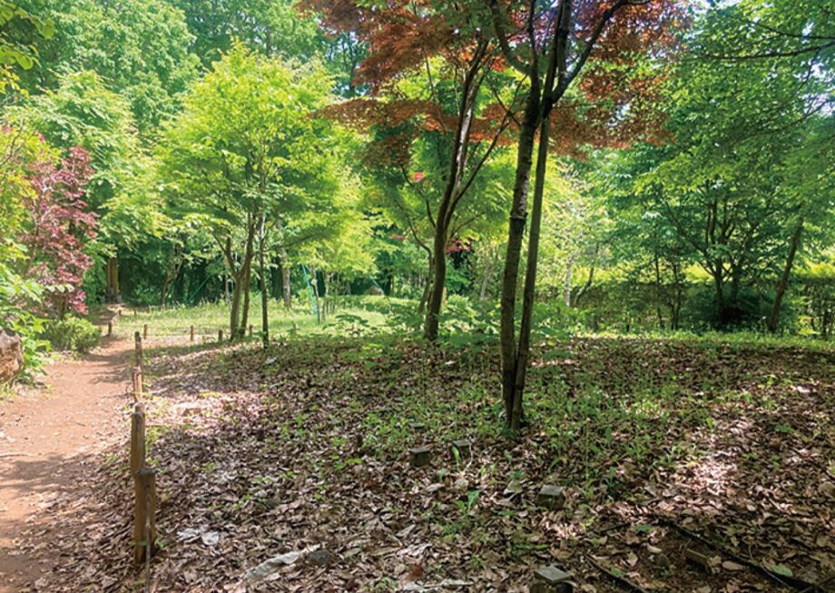 ｢里山型樹木葬｣で 自然に還る 東京里山墓苑【八王子市】
