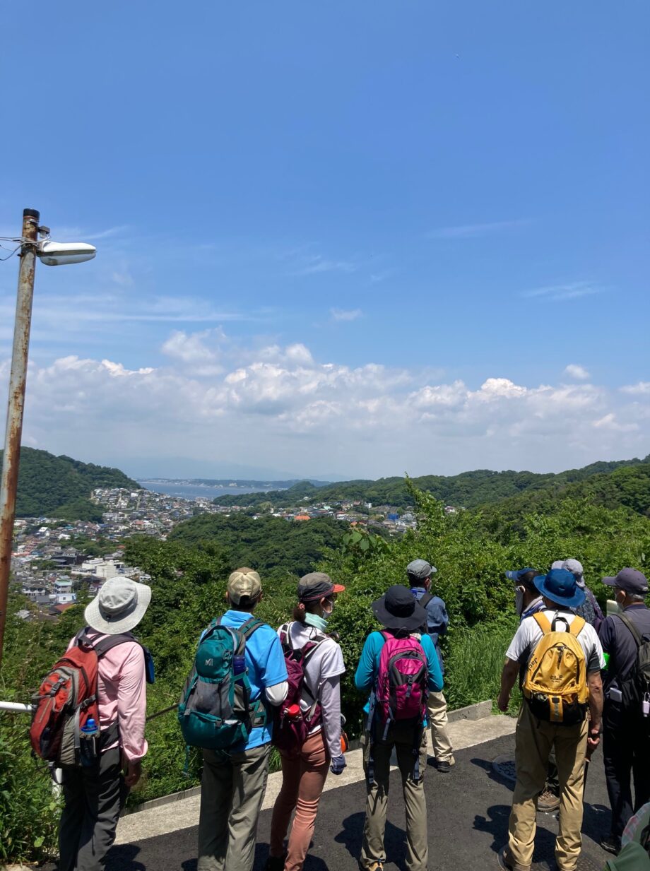 葉山・山楽会のハイキングに参加してきました！