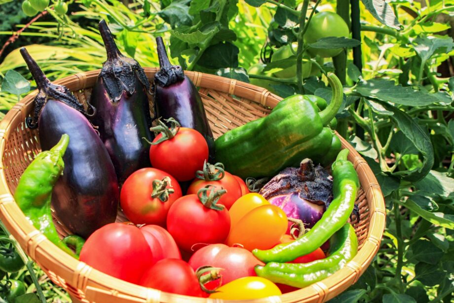 <次回7月31日>保土ケ谷公園で朝市!季節の野菜や果物など