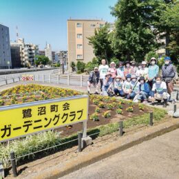 交差点に花の癒し 鷺沼町会ガーデニングクラブ【2022年7月1日号】