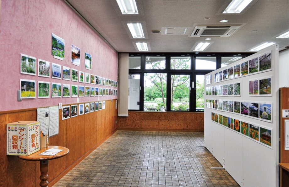 写真展「秦野戸川公園22年の歩み（第2章）」2022年8月31日までパークセンター１階ギャラリーで開催中