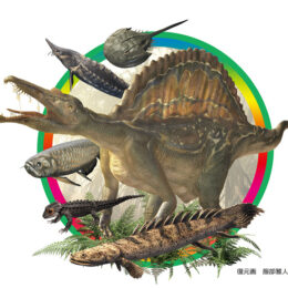 川崎水族館「カワスイ」で古代生物を知ろう！化石ハンターになって化石発掘も！ 『恐竜・古代生物展~図鑑から飛び出した生きものたち~』
