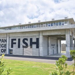 日本初！三崎に「日本さかな専門学校」２０２３年４月に開校