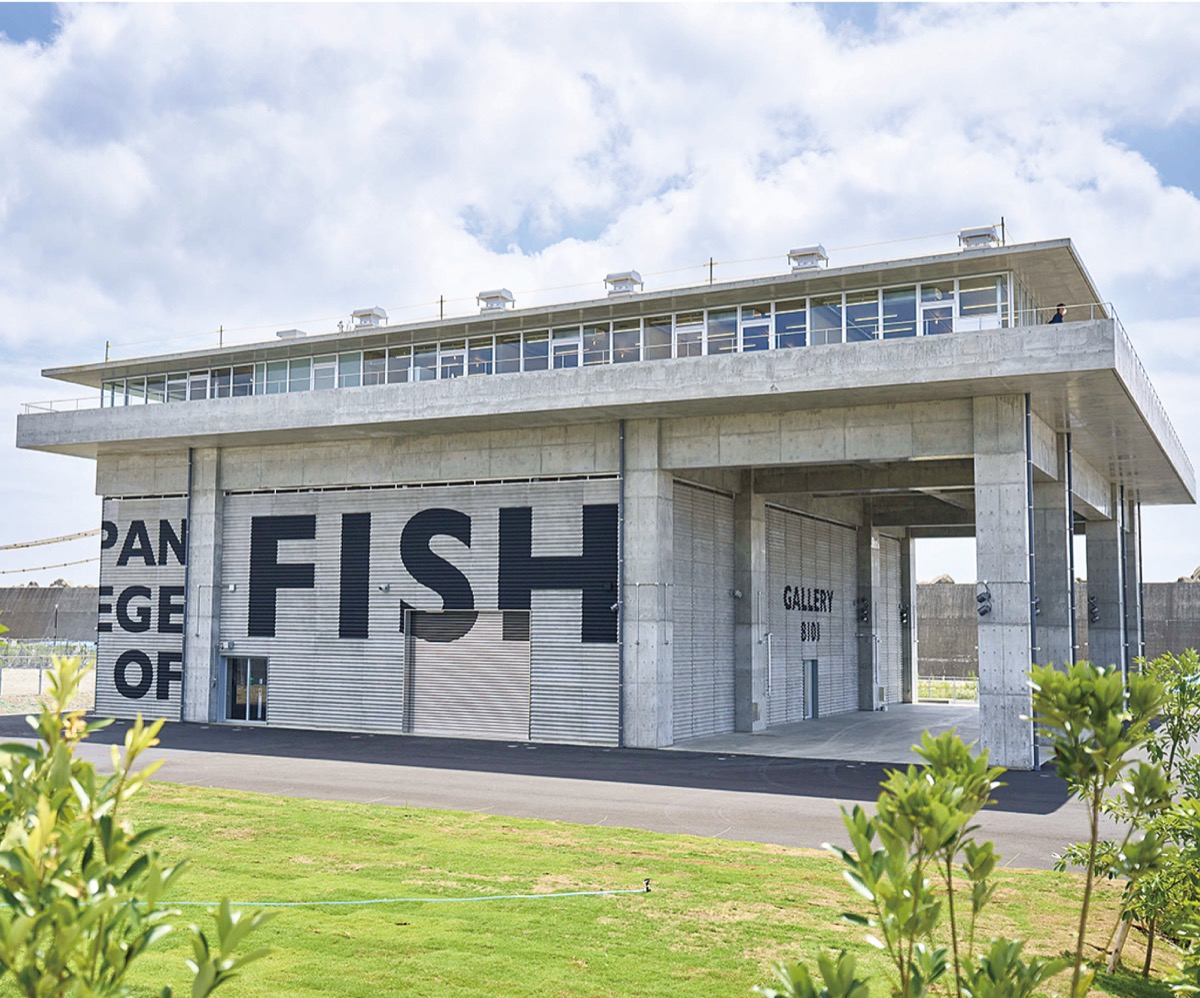 日本初！三崎に「日本さかな専門学校」2023年4月に開校 – 神奈川