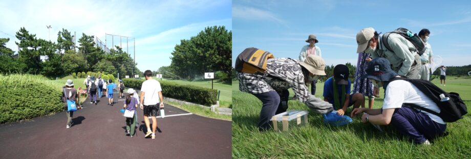 この日はゴルフクラブの代わりに網を持ってコースに出ていきました。