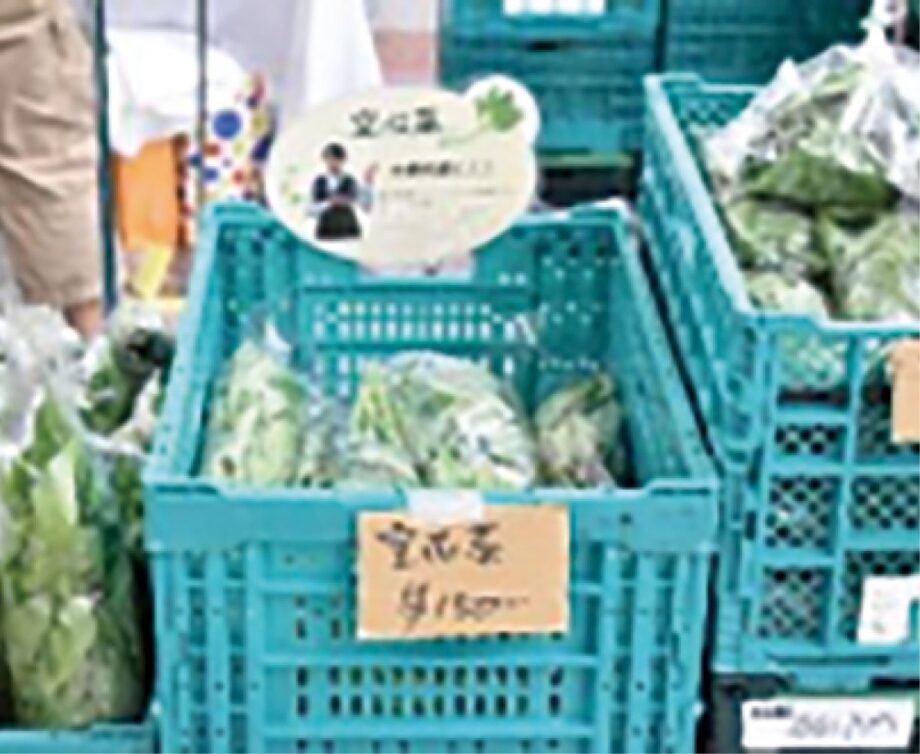 【8月27日・28日】地元産の新鮮野菜を販売する「八王子やさいまつり２０２２」＠八王子駅みどりの窓口前