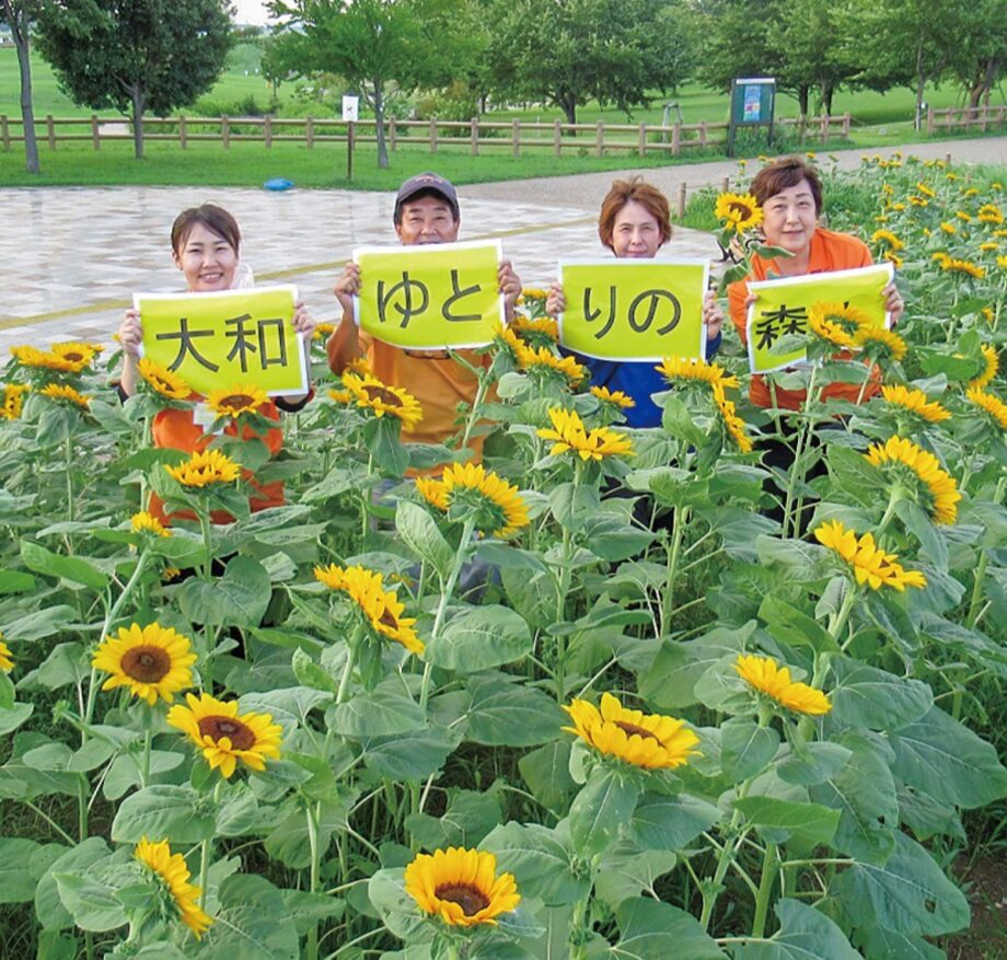 １千本のひまわり咲く 大和ゆとりの森　2022年10月15日には「たね団子づくり」のイベント開催