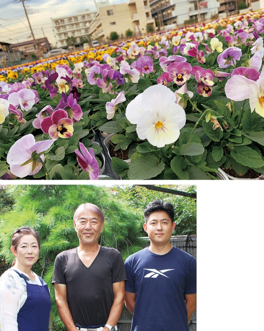 ＜川崎市中原区＞区の花・パンジーに溢れる街を目指し市民団体に配布会！約5000株を配布！