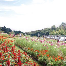 2年ぶり、秋の「里山ガーデンフェスタ」2022年9月17日～10月16日開催！