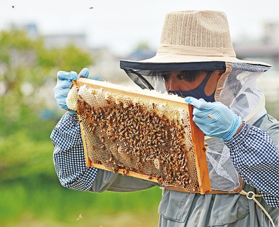 横浜市瀬谷区の「セヤミツラボ」が養蜂充実のためにクラウドファンディングを実施＜10月16日まで＞瀬谷フェスティバルにも出店