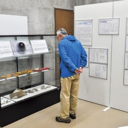 入館無料「鎌倉時代の秦野」開催＠はだの歴史博物館