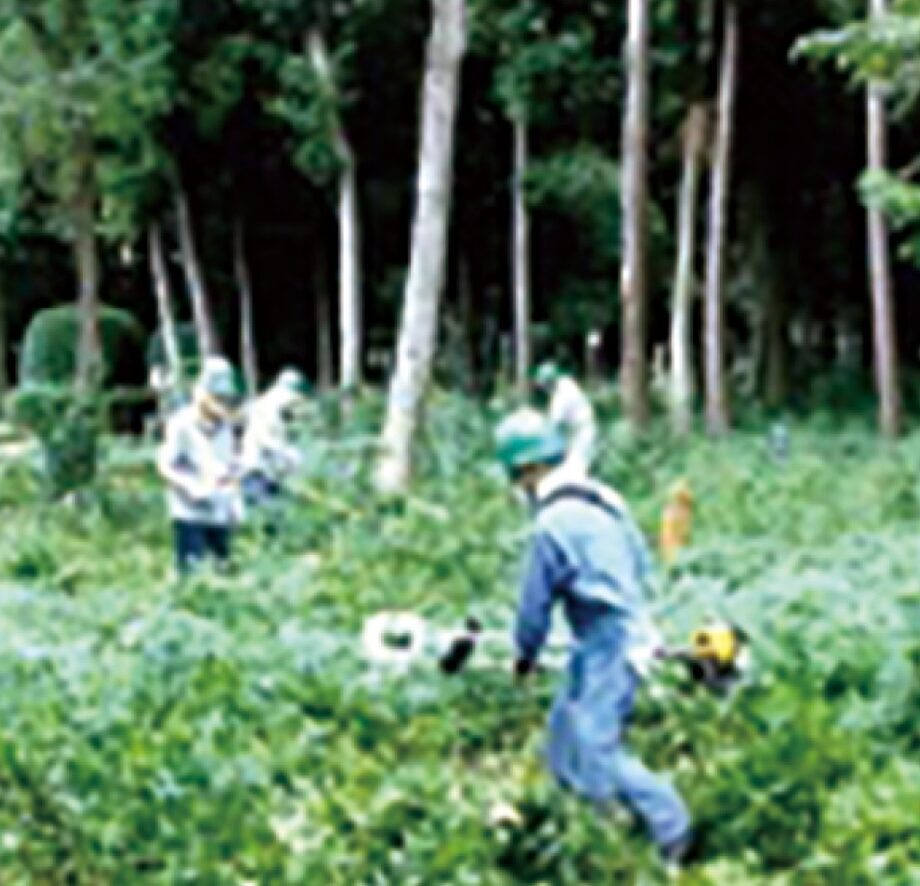 【参加者募集中】相模原市南区東大沼の木もれびの森で「下草刈り体験」