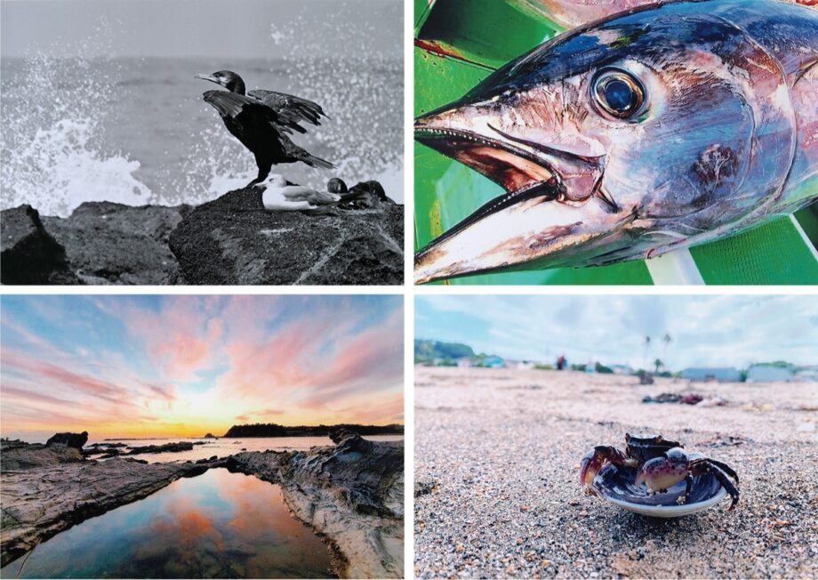 三浦市内在学児童生徒20点が「第11回海洋教育写真コンテスト」入選・海の神秘を1枚で表現