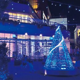 【クリスマスイルミネーション】辻堂のテラスモール湘南で『夜を青くライトアップ』