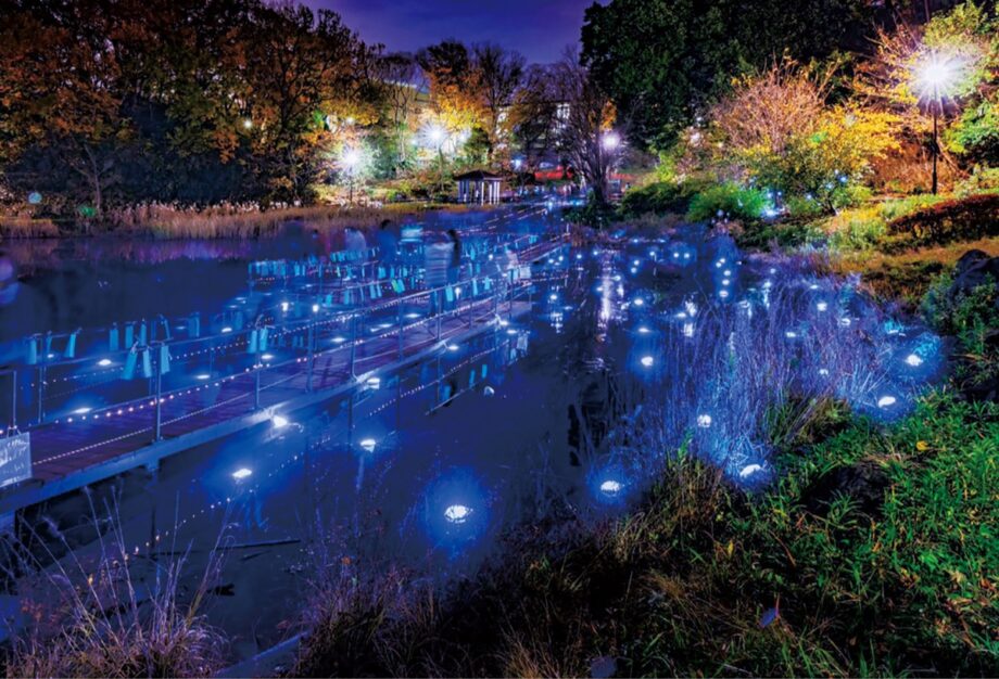 横浜市青葉区、もえぎ野公園が3年ぶり「光る池」に！2022年11月12日(土)