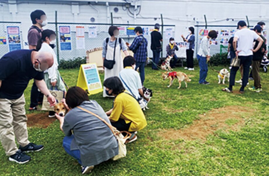八王子市宇津木町の「たまとポチ」で保護犬つなぐ譲渡会を開催（2022年11月27日）