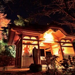 ＜2022年12月３日＞幻想の飯山を楽しむ「飯山ライトアップ＆秋のキャンペーン」＠厚木市