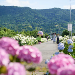 ＜取材レポ＞開成町の「企業版ふるさと納税」メリットについて詳しく聞いてみた。神奈川県西部で移住先として人気のまち