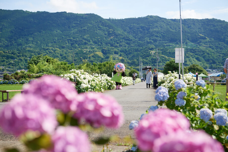 ＜取材レポ＞開成町の「企業版ふるさと納税」メリットについて詳しく聞いてみた。神奈川県西部で移住先として人気のまち
