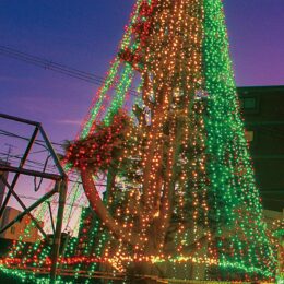 2022年11月20日にJR東逗子駅前広場で「2022イルミネーション」点灯式　2023年1月31日（火）まで