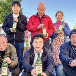 【500本限定】寒川特産「梨ワイン」2年ぶりに販売へ