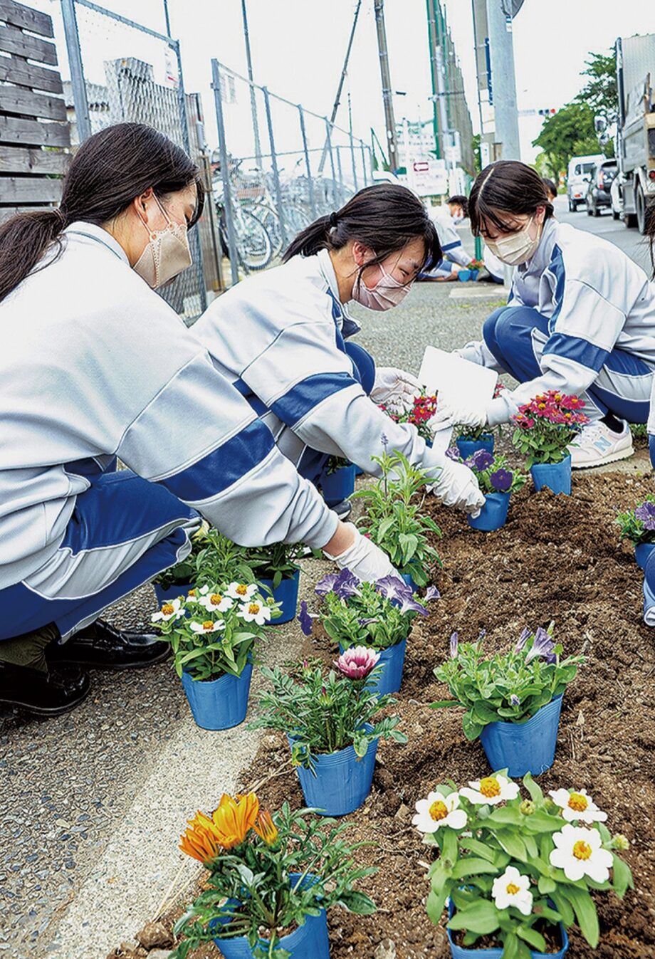 フラワーロードプロジェクト 花咲き誇る海軍道路へ 企業・団体と連携して植栽＜横浜市瀬谷区＞