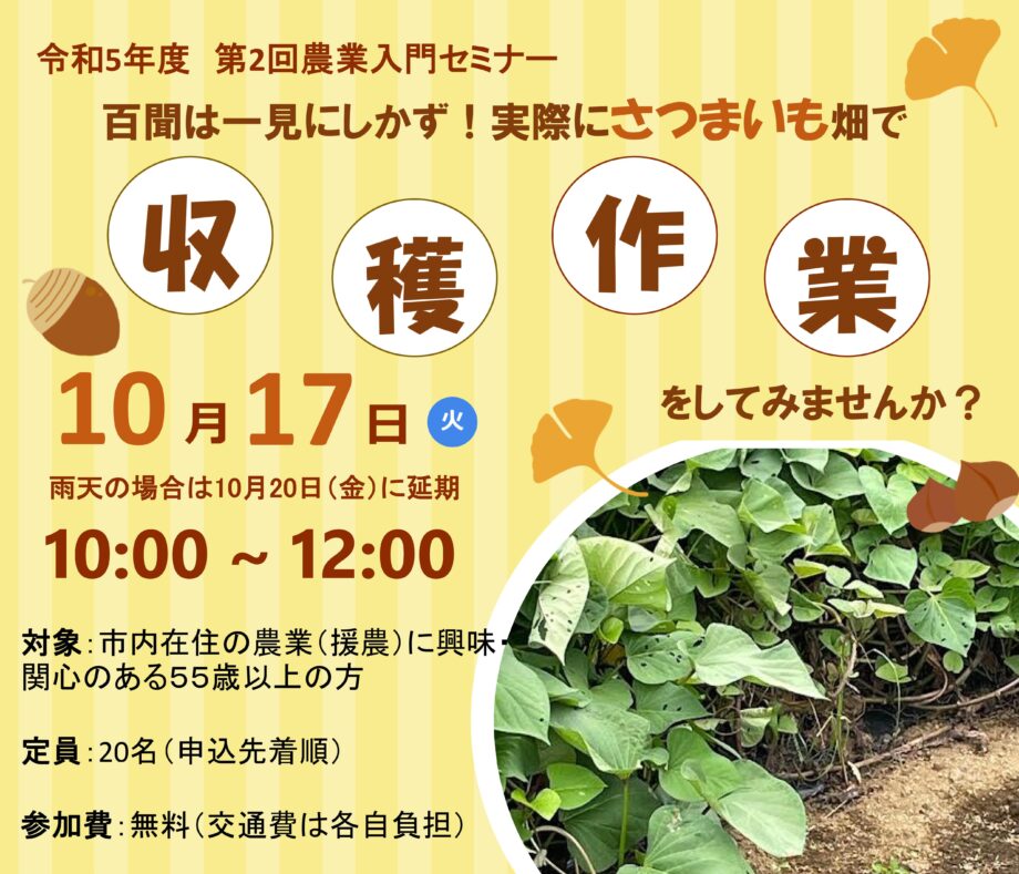 第２回農業入門セミナー「さつまいも収穫作業」＠生涯現役フルライフはだの