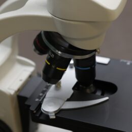 【事前申込制】逗子の世界一小さな科学館「理科ハウス」で「三浦半島の地層から顕微鏡を使って微化石をさがそう！」2月11日（土）