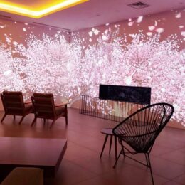 大磯プリンスホテル「桜のナイトPARK」で一足早くお花見気分　プロジェクションマッピングも