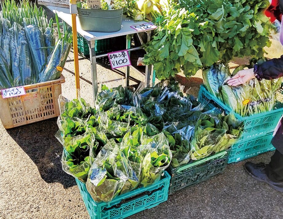 川崎市高津区で「さんの市」地元の採れたて新鮮野菜を直接販売【２月12日】＠久本薬医門公園