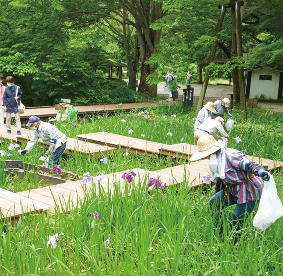 横浜市緑区・四季の森公園でボランティアを募集！花や自然の手入れに
