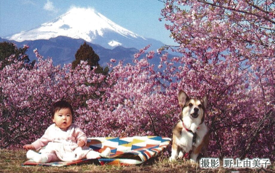 「フォトグラフィカ秦野写真展」宮永岳彦美術館