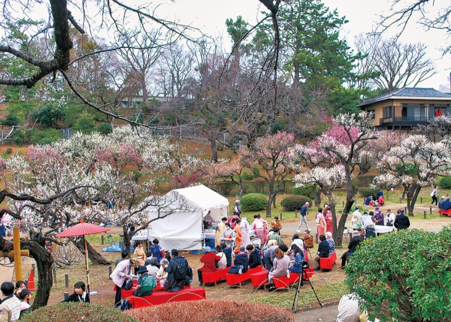 【2月25・26日】「大倉山観梅会」春告げる催し 特産の梅酒販売も＠横浜市港北区