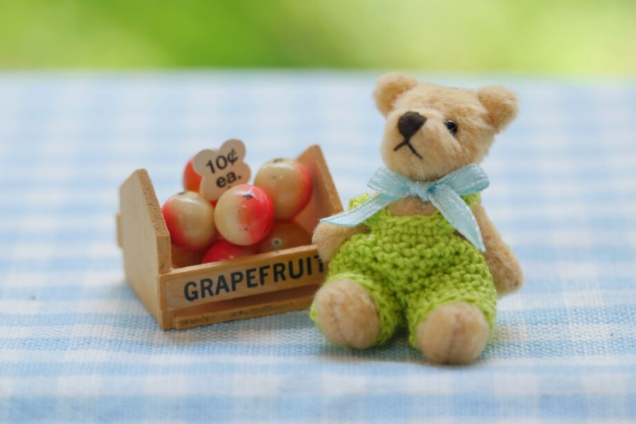 「羊毛フェルトの作品展 」2月27日〜3月3日＠横浜市緑区役所