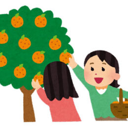 果樹や野菜を「収穫”してほしい”人」いませんか？＠平塚市社会福祉協議会ボランティアセンター
