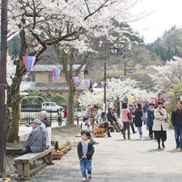 2023年「宮ケ瀬桜まつり」４月１日～９日・宮ヶ瀬 湖畔で約１０００本の桜とともに歌やダンスを楽しもう