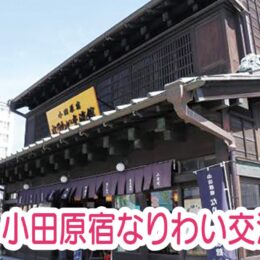 【参加者募集】小田原のなりわい文化と桜スポットを巡ろう！街かど博物館体験ツアー