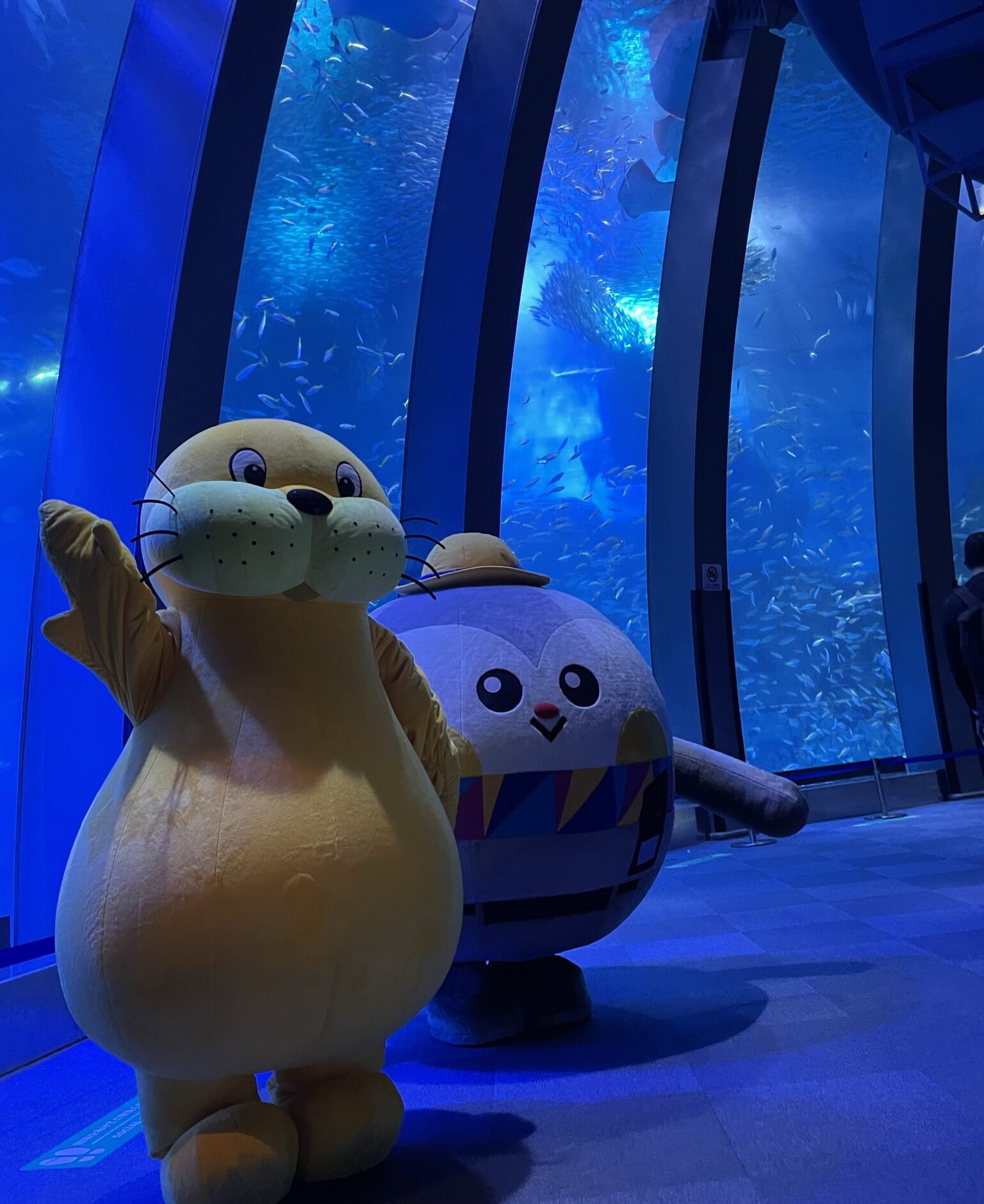 八景島シーパラダイス2枚組