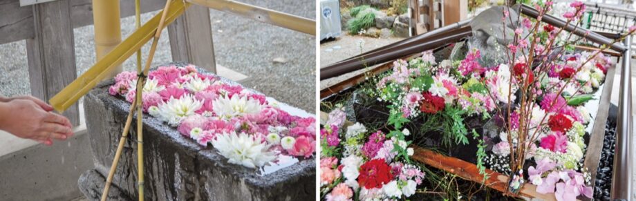 相模原市内中央区内の神社で手水舎を彩る花々