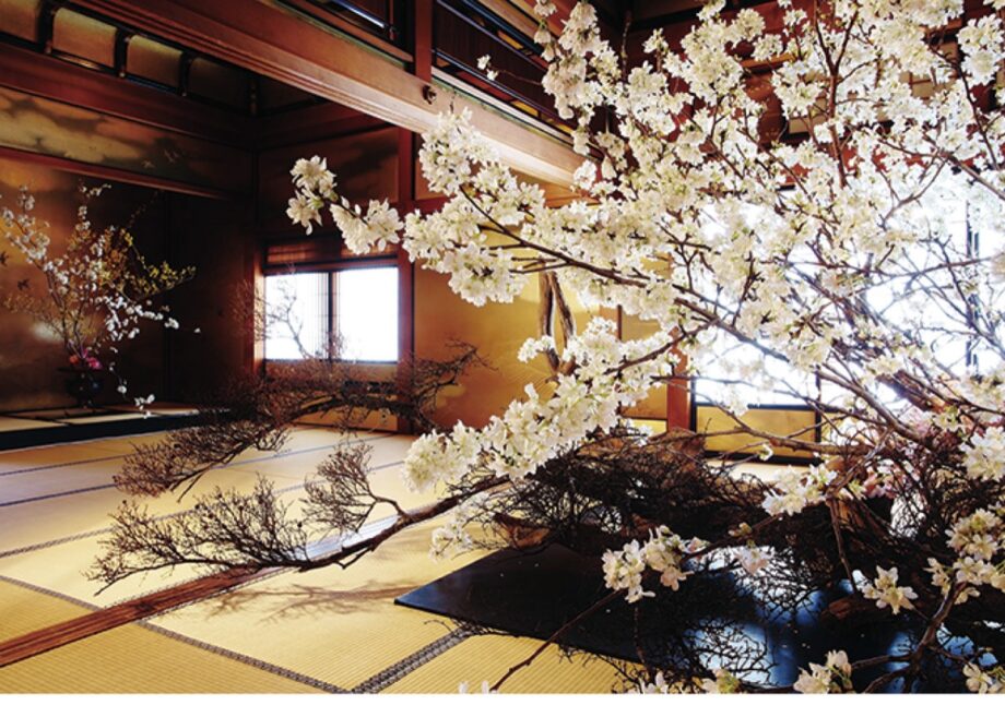 【４/２～16日】＜假屋崎省吾 桜をいける＞華道歴40周年記念作品展＠鎌倉・円覚寺
