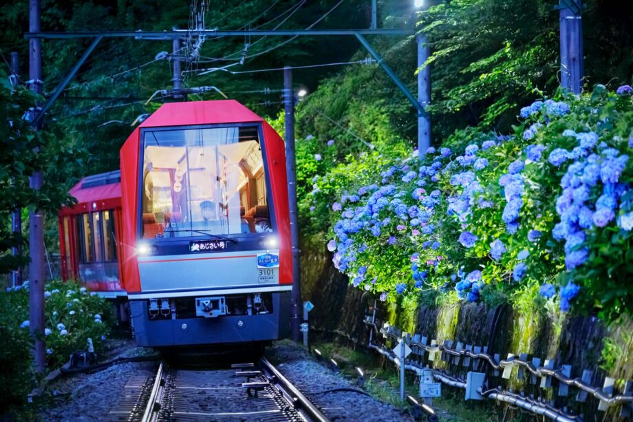 【箱根登山鉄道】2023年の座席指定列車「夜のあじさい号」が４年ぶりに復活！運行前夜には招待列車も運行