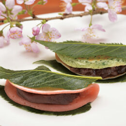 祇園しだれ桜が咲き誇る峠の茶屋で…香り高きさくら餅に舌鼓＜和菓子 菜の花＞